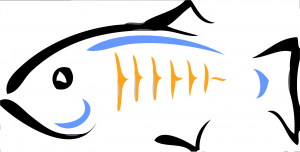 glassfish_logo